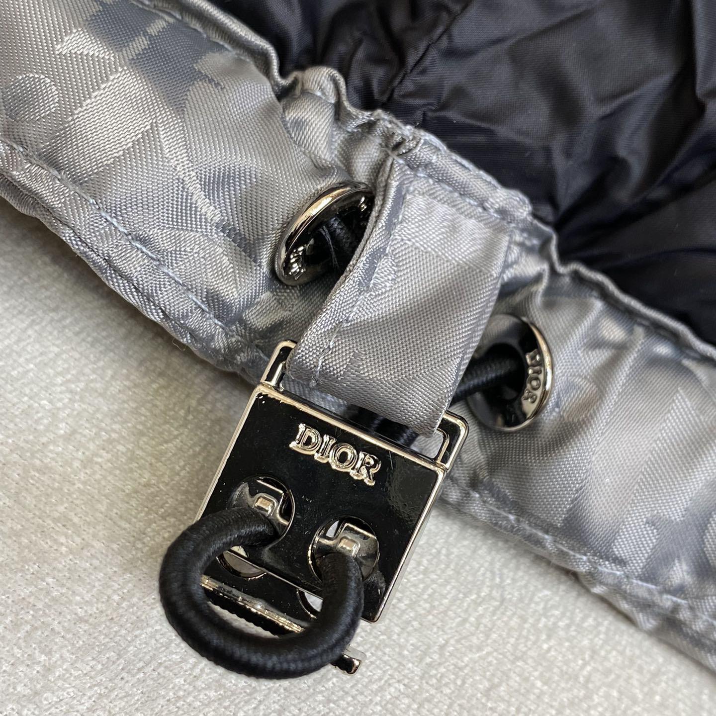 Dior Oblique Down Jacket  - DesignerGu