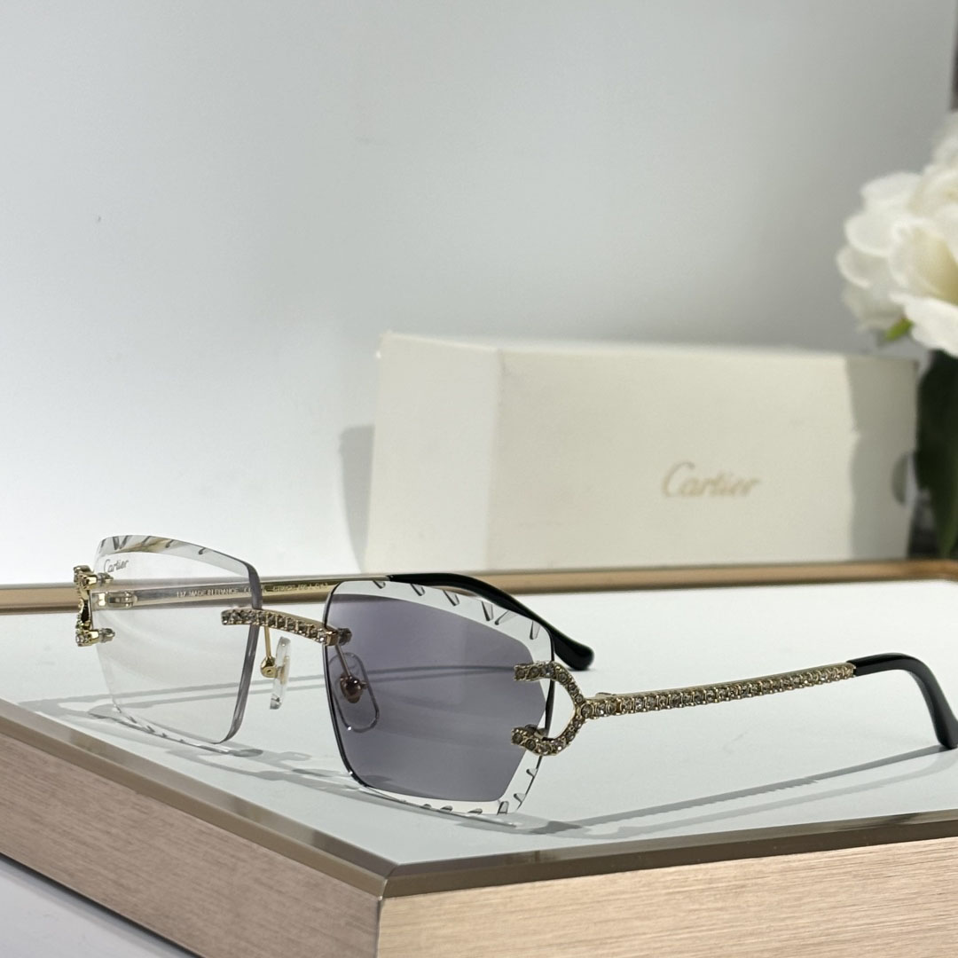 Cartier CT0662S Sunglasses    - DesignerGu