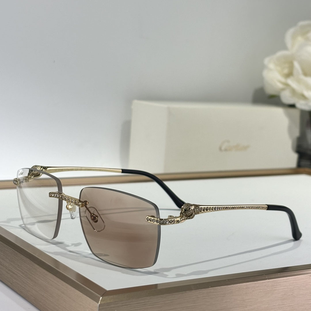 Cartier CT0663 Sunglasses    - DesignerGu