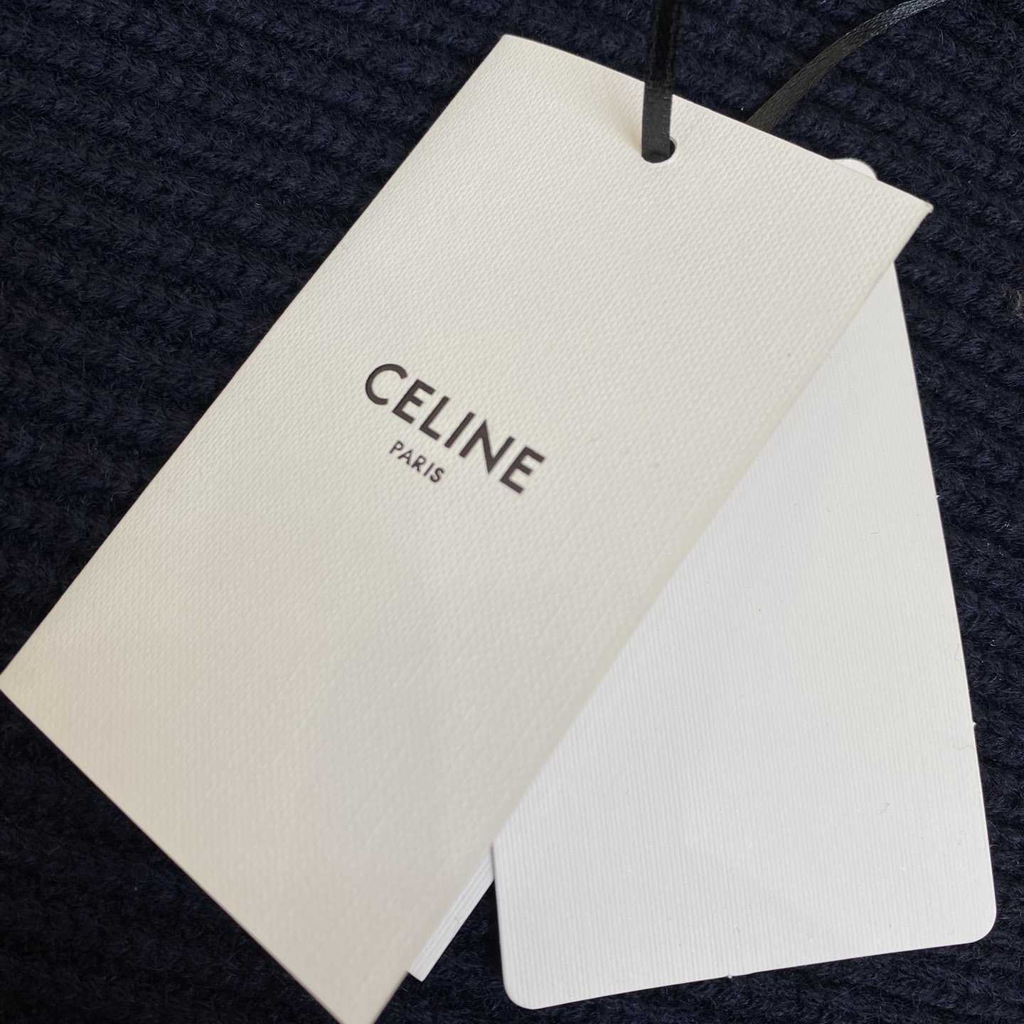 Celine College Hooded Sweater In Wool - DesignerGu