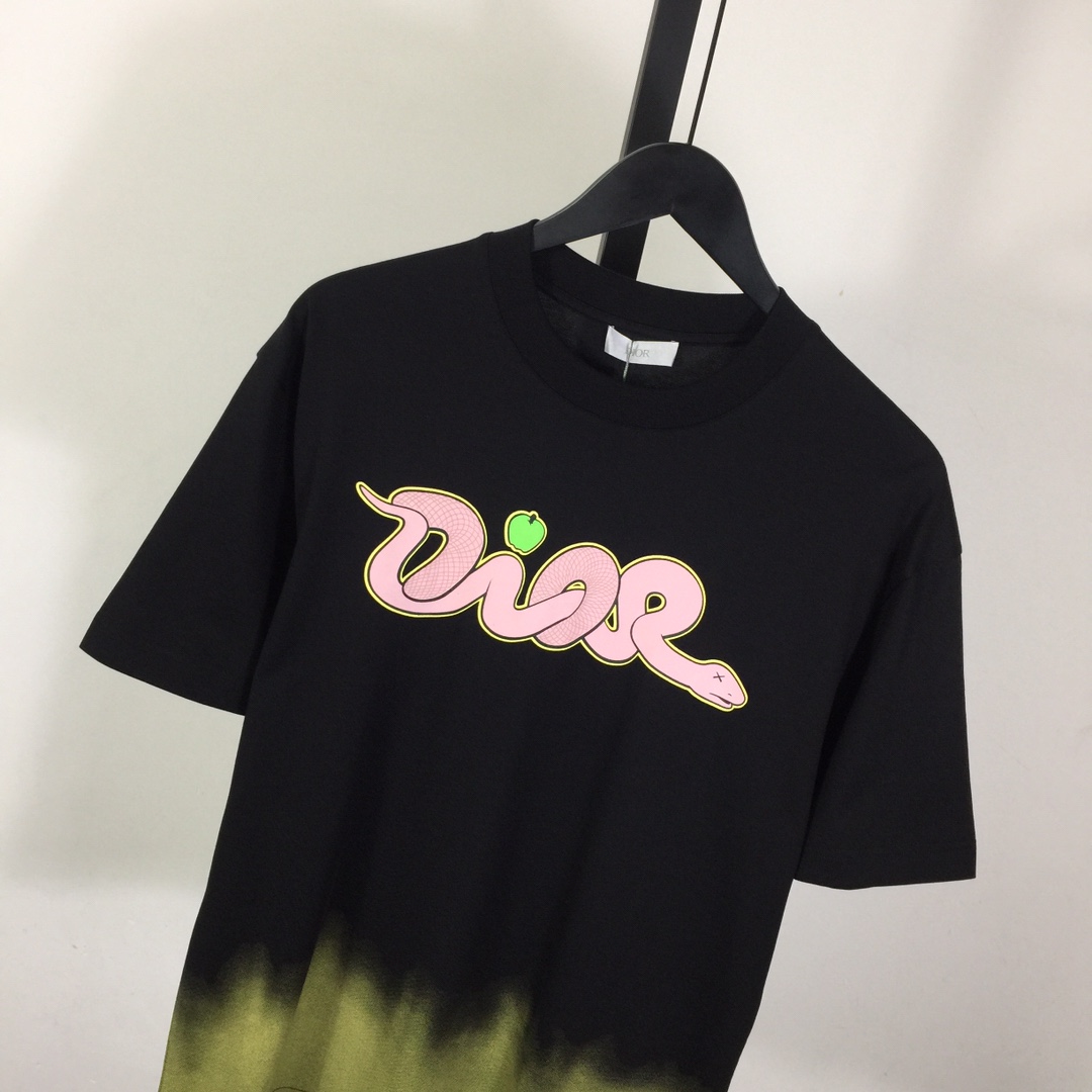 Dior Logo T-Shirt  - DesignerGu