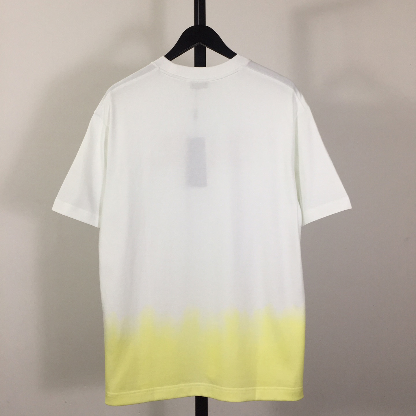 Dior Logo T-Shirt  - DesignerGu