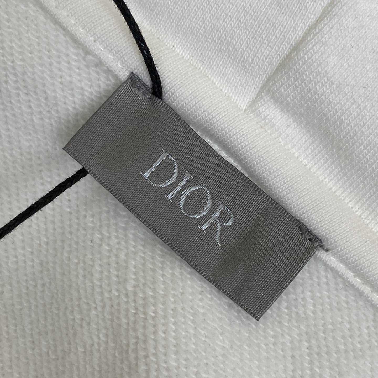 Dior And Kaws Hooded Sweatshirt - DesignerGu